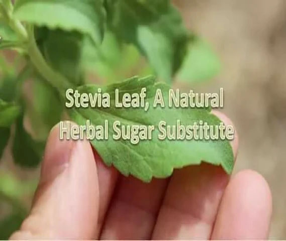 Try stevia