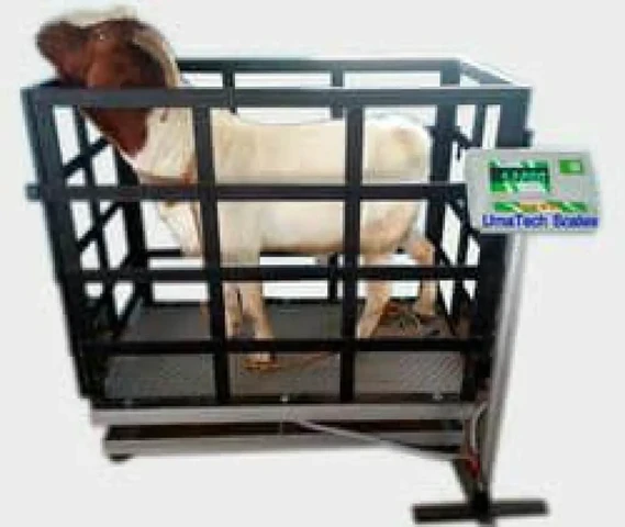 WEIGHT SCALE FOR GOATS & SHEEPS