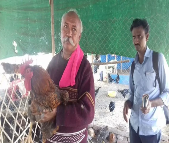 visit of guest to kadaknath farm nanded