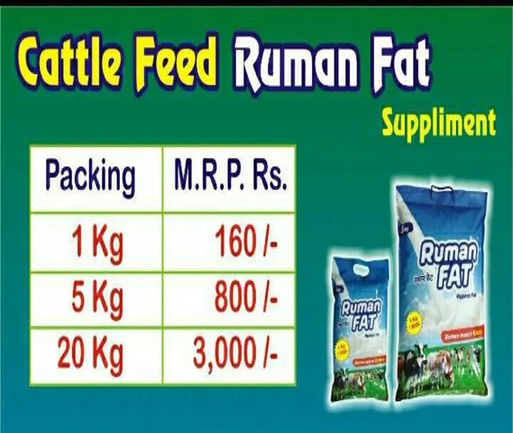 Fat supplement is used for Cows 