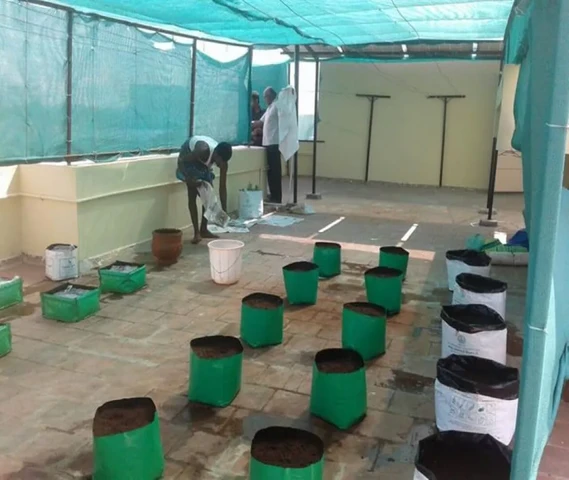 Terrace Garden service