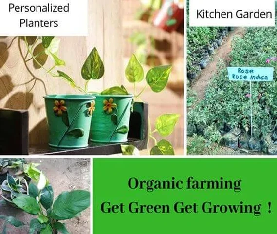Gng agritech