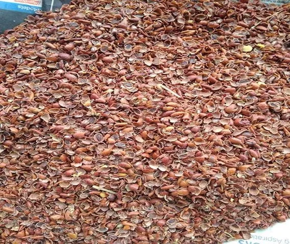 Paruthikottai