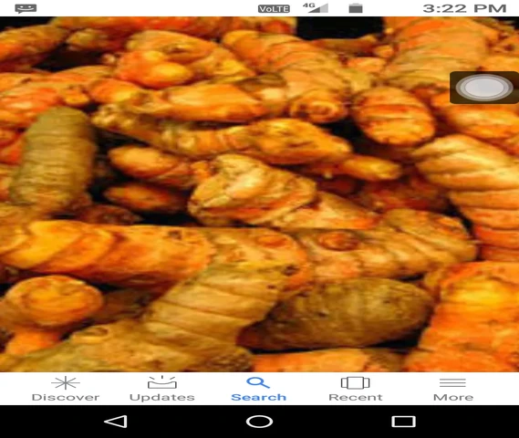 Fresh Turmeric roots