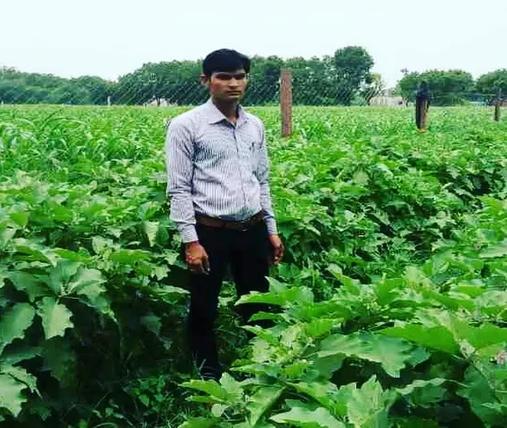 Sanjivni