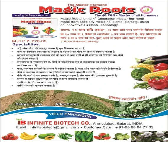 MAGIC ROOTS