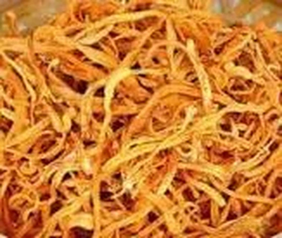 Cardyceps militaries 
