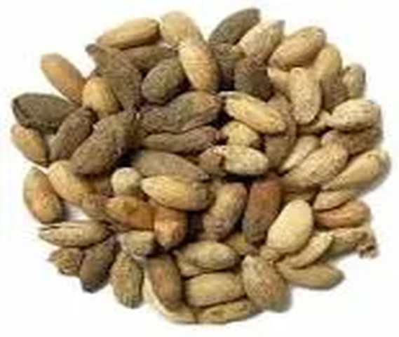 Neem seeds