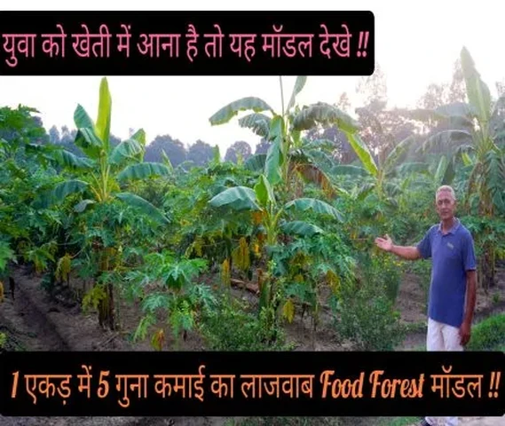 Shyam Singh Rod
