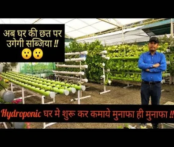 Hydroponic Farm