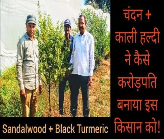 Ankur Nurssery