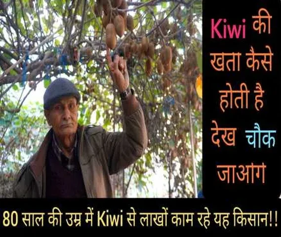Aryua Kiwi Farm