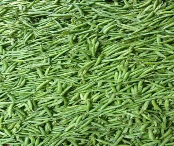 Green Peas