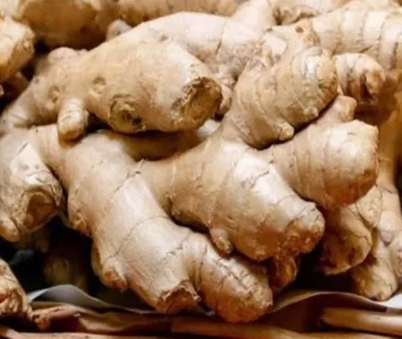 Ginger