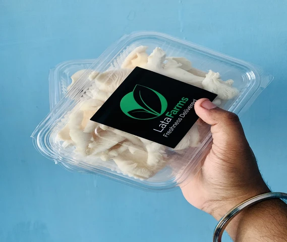 Oyster Mushroom