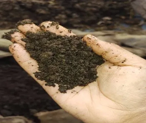 Vermicompost