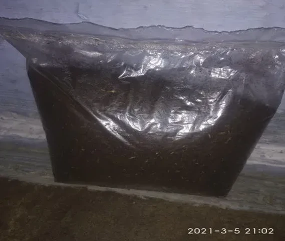 Vermicompost