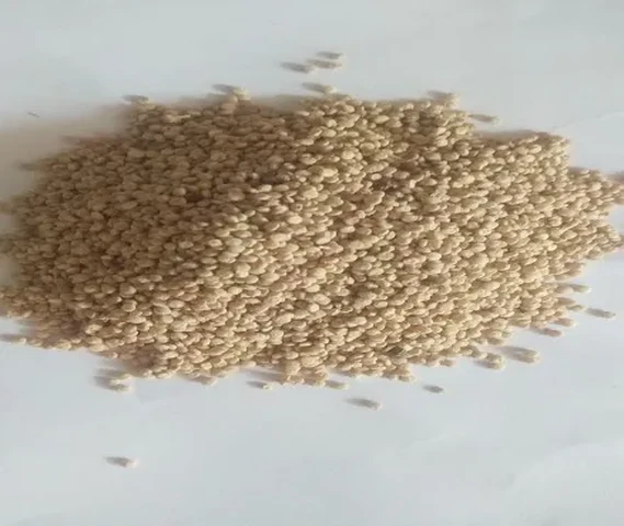 Quinoa