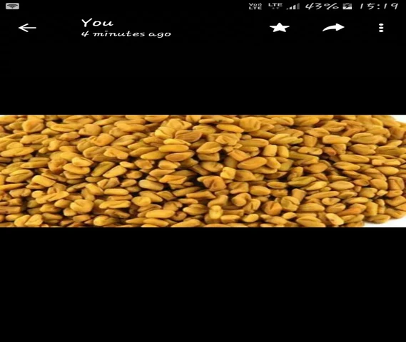 Methi 
