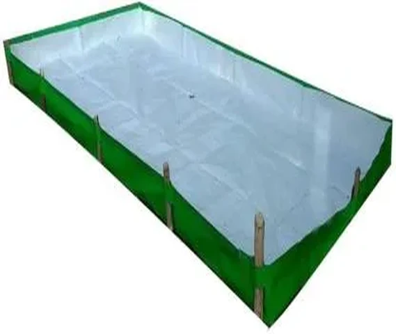 Azolla Bed 