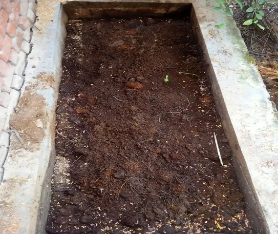 vermicompost