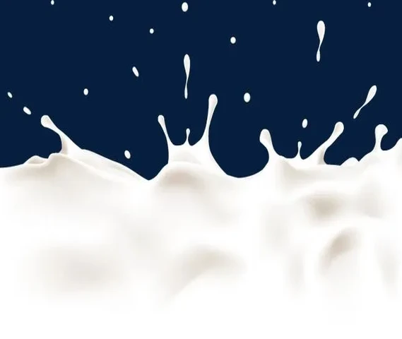 Fresh milk 