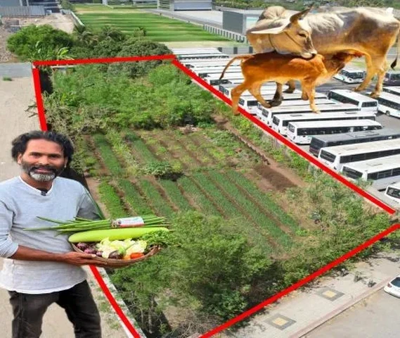 Ashish Vidhate