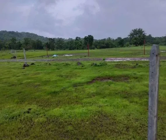 5 Acar plot for sell