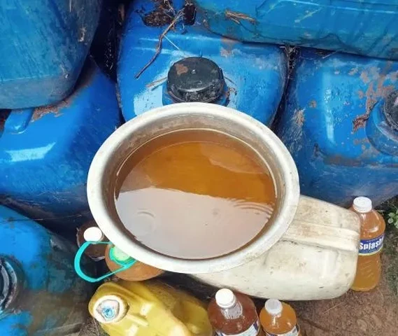 Desi gai gomutra