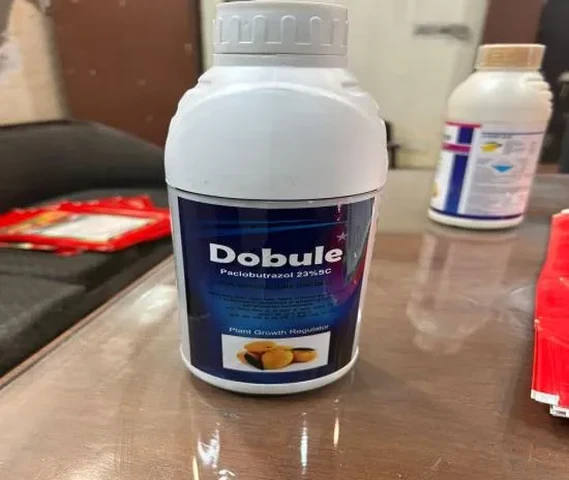 Paclobutrazol 23sc PGR for mangoes