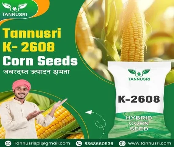 Tannusri K-2608 Corn Seeds