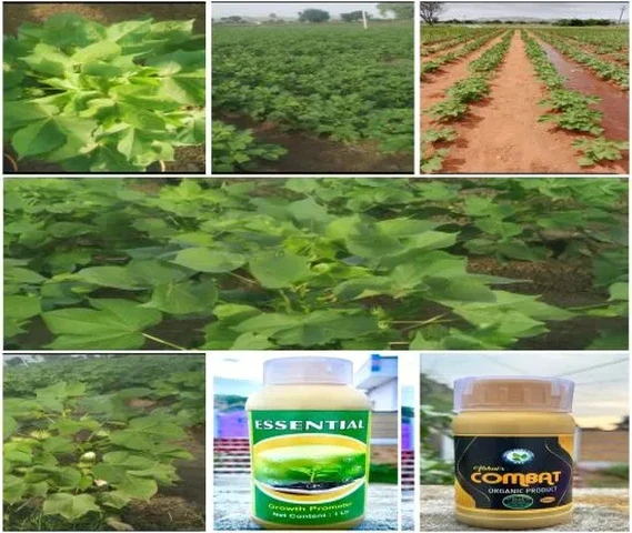 Abhaya Agro Care 'COMBAT'