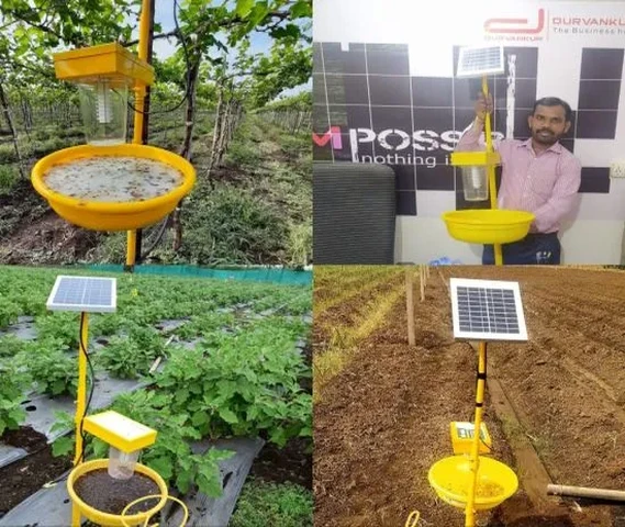 Solar light insect traps | Solar Trap available