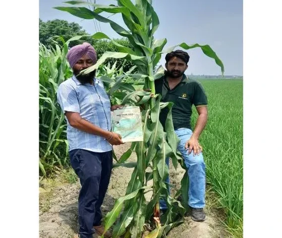 Hari bhari Gold+ Field Performance 2024