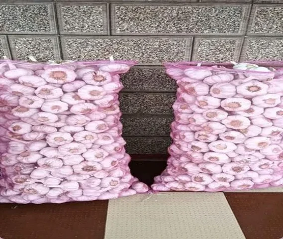 Garlic AVAILABLE