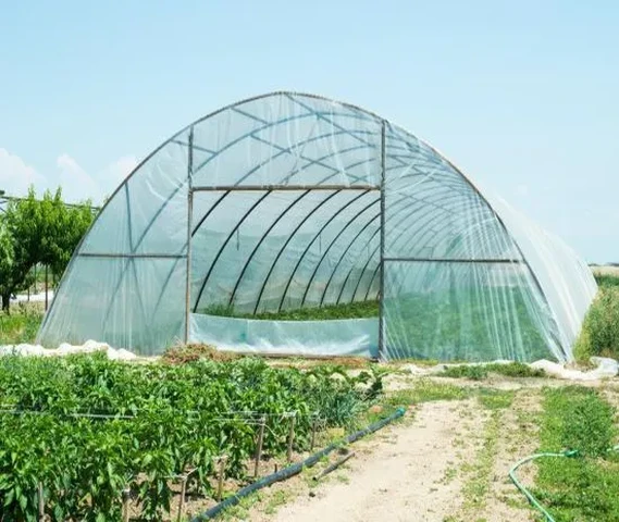 Professional Polyhouse Structure