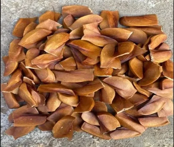 Mahogany Seed