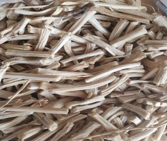 Satavari Root