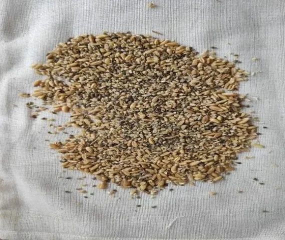 Poultry Food