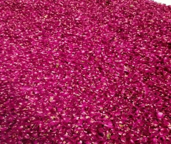 Rose Petals