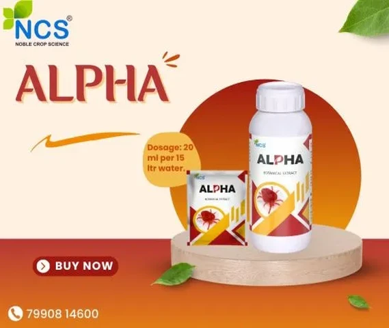 Alpha