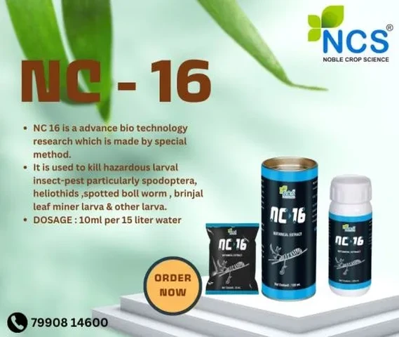 NC 16