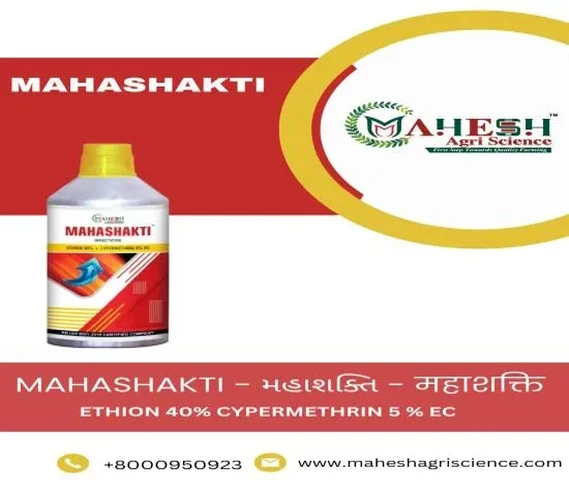 MAHASHAKTI