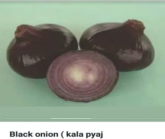 Black Onion seeds available