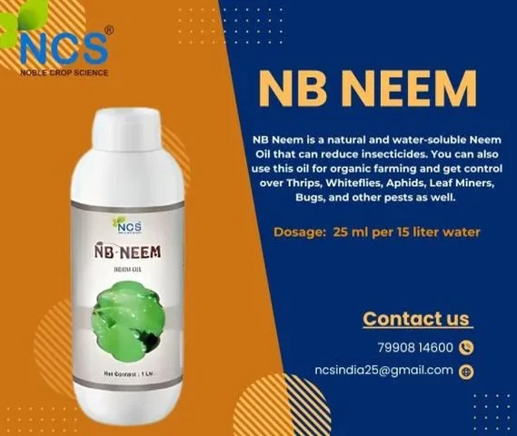 NB NEEM