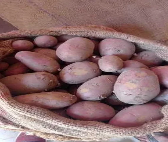 Red Potato ( Laal Aaloo )