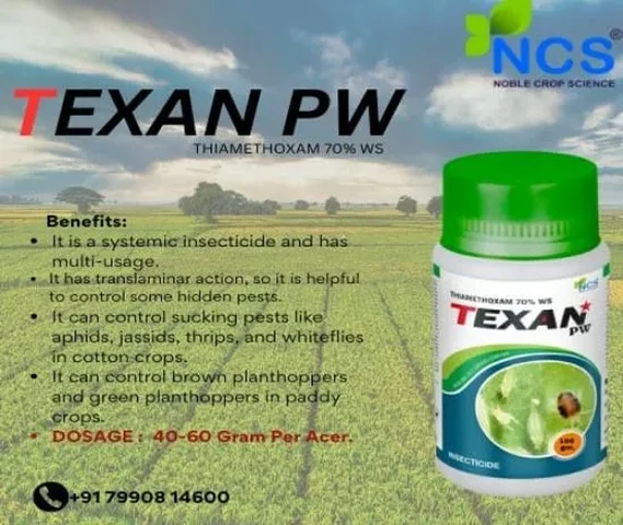 TEXAN PW