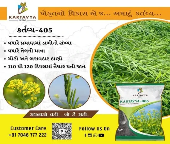 405 Mustard Seeds