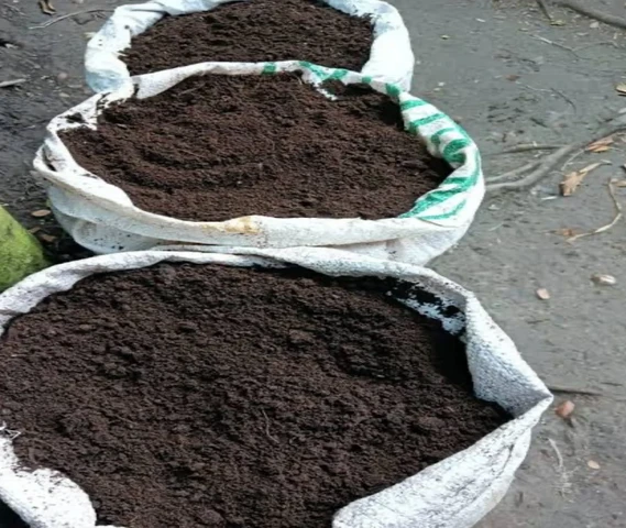 Earthworms and Vermicompost