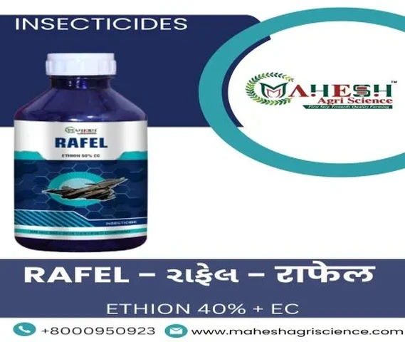 RAFEL